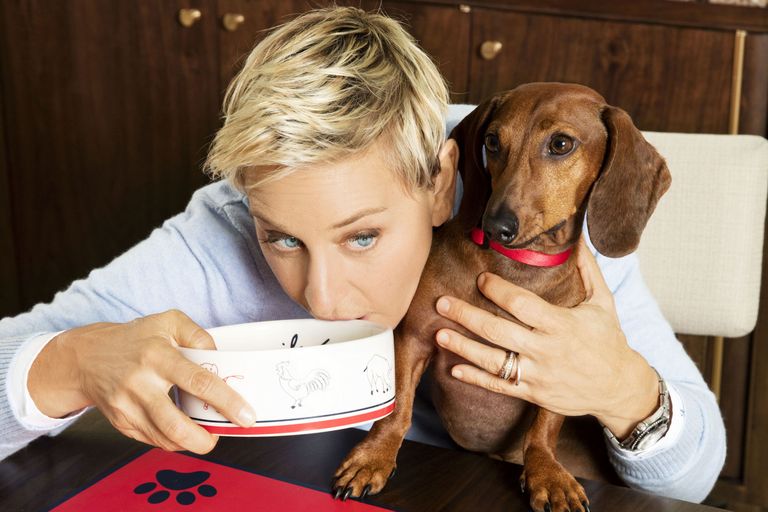 ellen-degeneres-petsmart-collection